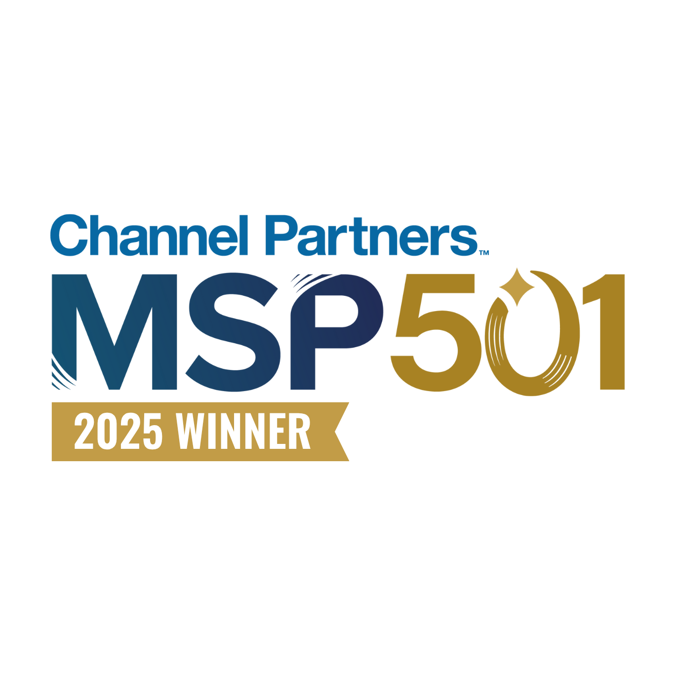 MSP 501 2025 Award